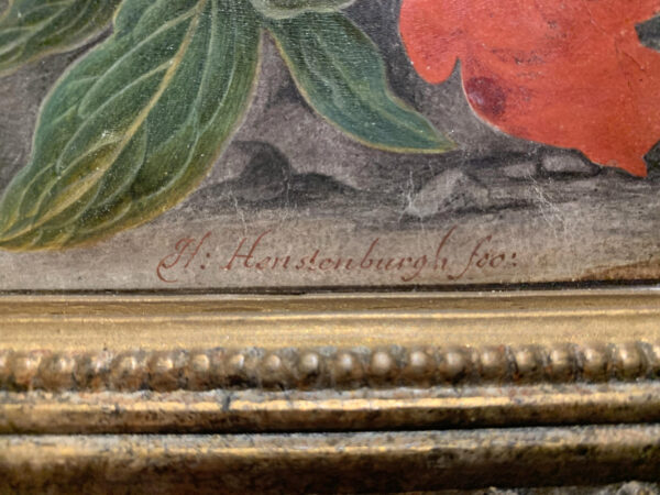 HENSTENBURG, Herman - Still life with flowers on a stone ledge Old Master drawing for sale te koop signature